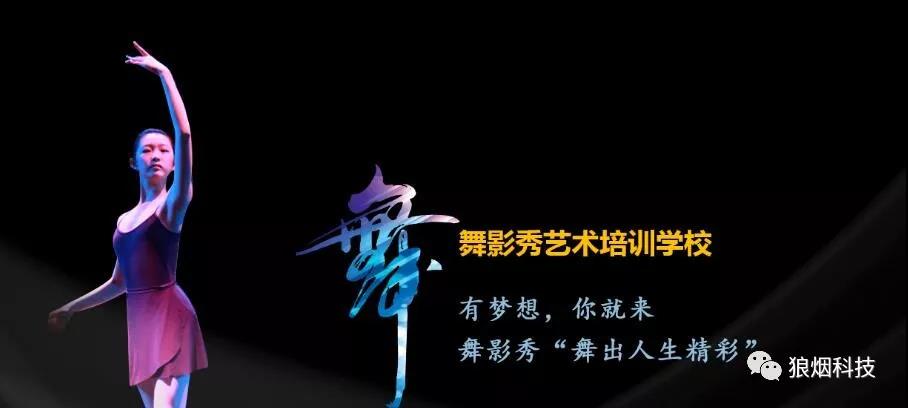河南舞影秀文化传媒有限公司
